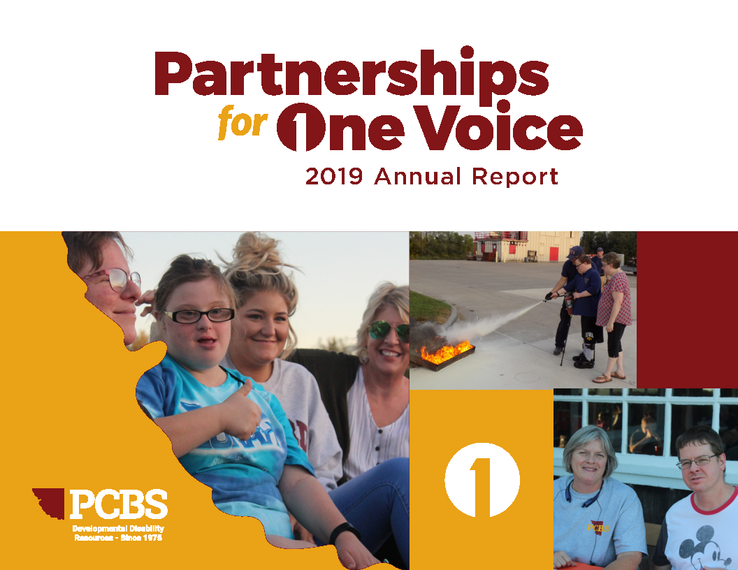 Front Page Image of 2019 Annual Report