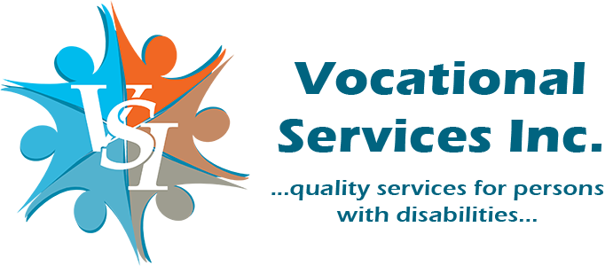 VSI logo